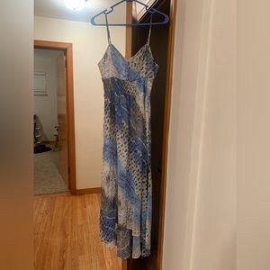 Maxi Dress- Princess Vera Wang